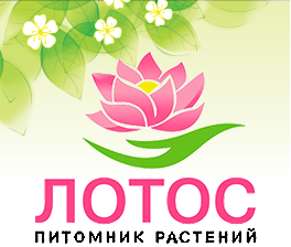 ГКФХ Шеина Людмила Ивановна