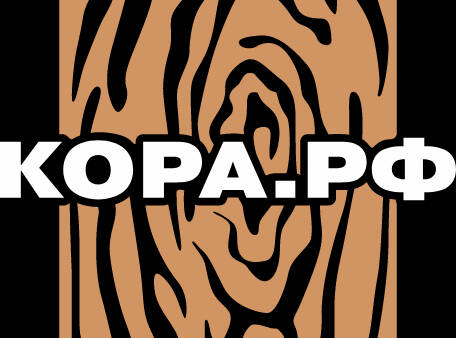 ИП Царев Денис Александрович