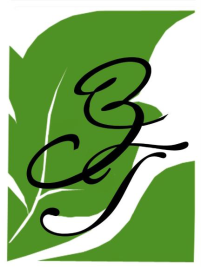 ИП Пахатова Ольга Алексеевна