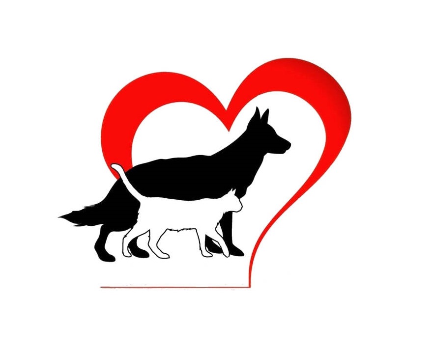 ИП Кучук Наталья Павловна ИП Кучук Наталья Павловна