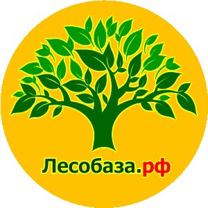 ООО "НОВМОССТРОЙ" ООО "НОВМОССТРОЙ"