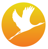 ООО "БЕЛЫЙ ЖУРАВЛЬ" ООО "БЕЛЫЙ ЖУРАВЛЬ"