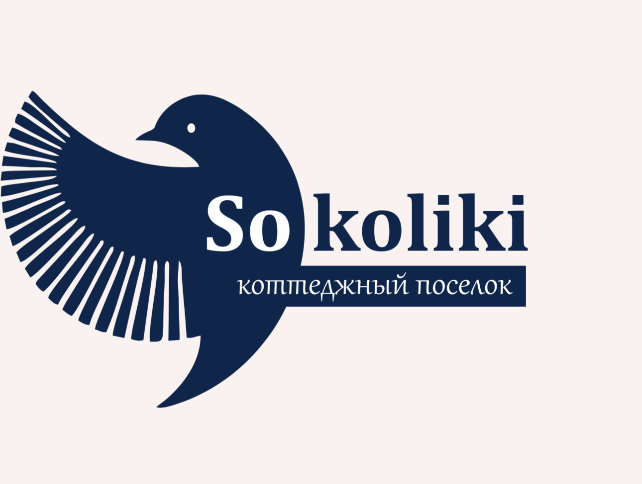 ИНДИВИДУАЛЬНЫЙ ПРЕДПРИНИМАТЕЛЬ СОЛОВЬЕВА АННА АНДРЕЕВНА