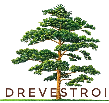 ООО "ДРЕВЕСТРОЙ"