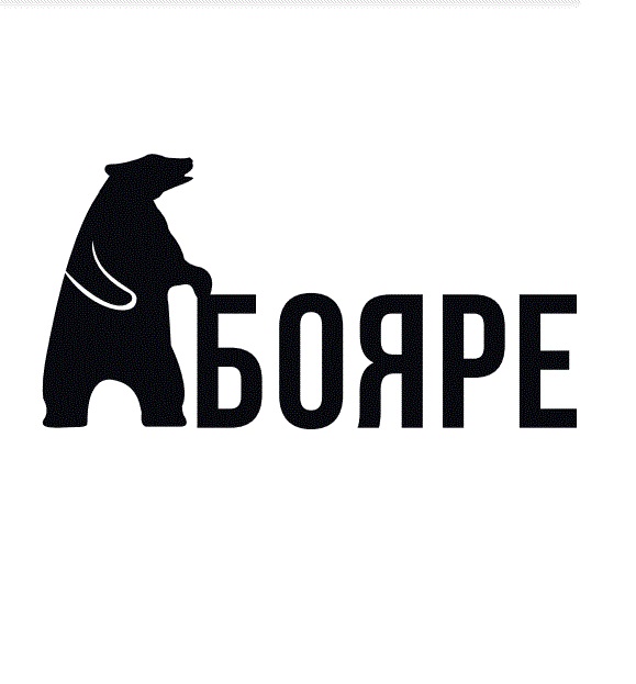 ИП БОЯРИНОВ АЛЕКСАНДР СЕРГЕЕВИЧ