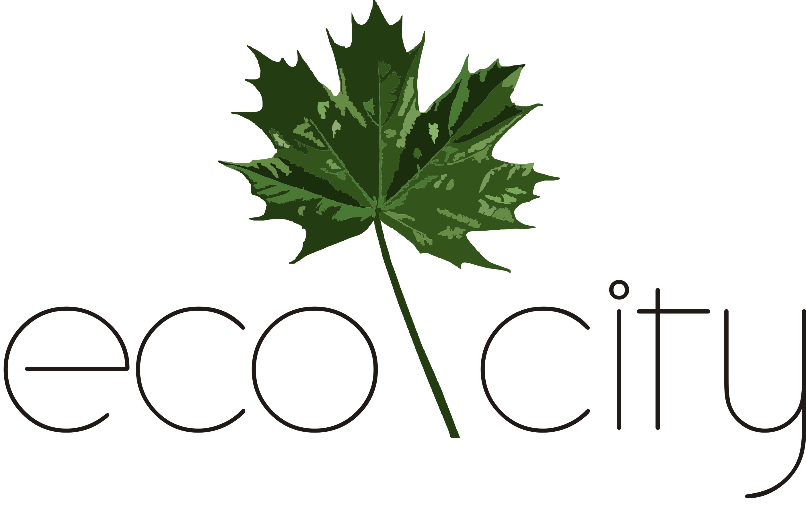 ООО "ЭКО-СИТИ-СТРОЙ" ООО "ЭКО-СИТИ-СТРОЙ"