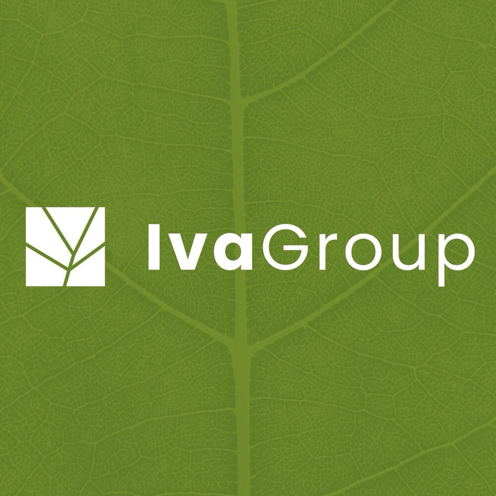 ИВАНОВ РОМАН АНДРЕЕВИЧ (ИП)