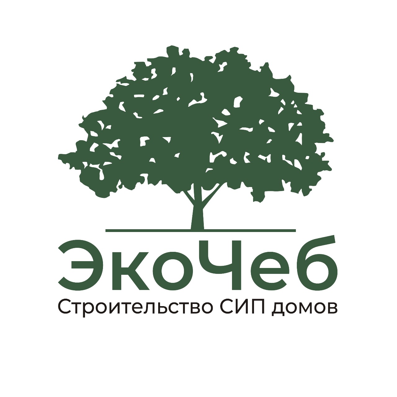 ВАСИЛЬЕВ ПАВЕЛ ВЛАДИМИРОВИЧ (ИП) ВАСИЛЬЕВ ПАВЕЛ ВЛАДИМИРОВИЧ (ИП)