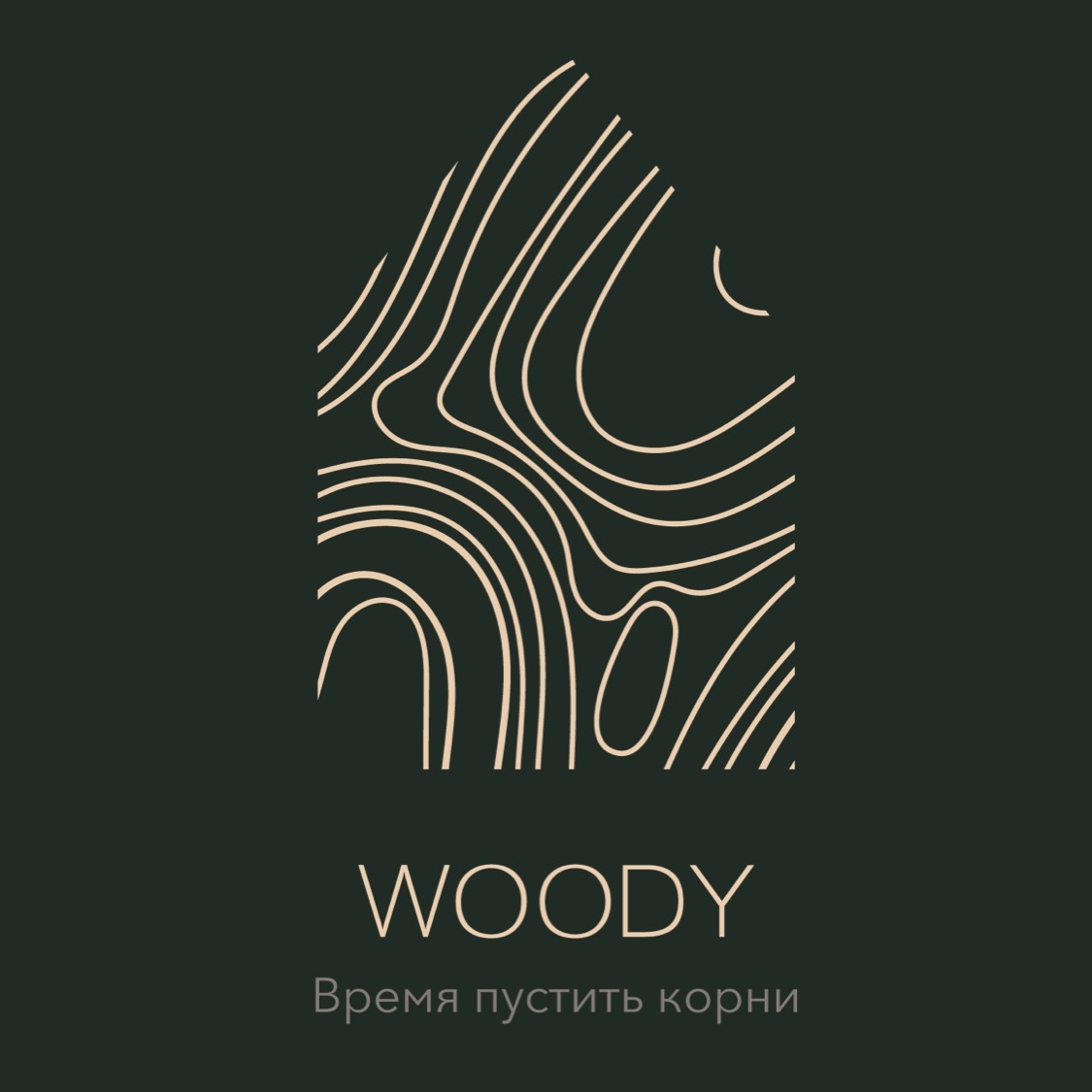 ИП НАСИФУЛЛИН РОМАН РИФОВИЧ