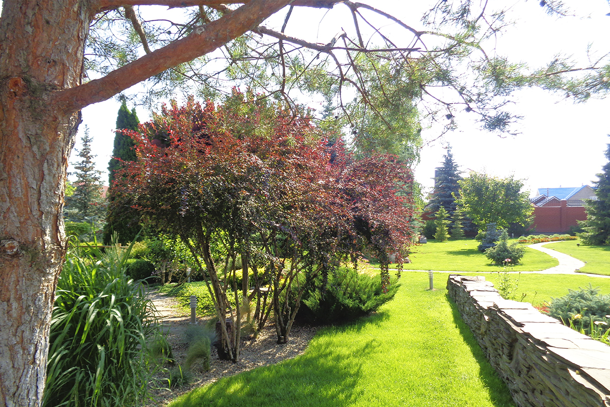 Ландшафтный дизайн