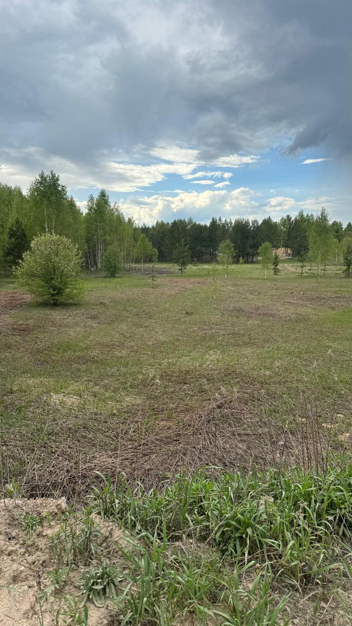 Геодезические изыскания