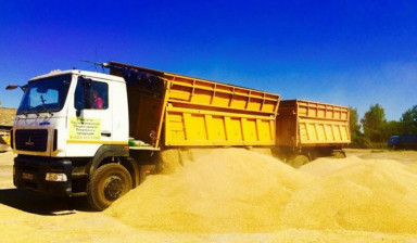 грузоперевозки зерна