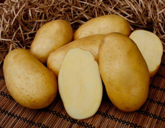 Семена и саженцы