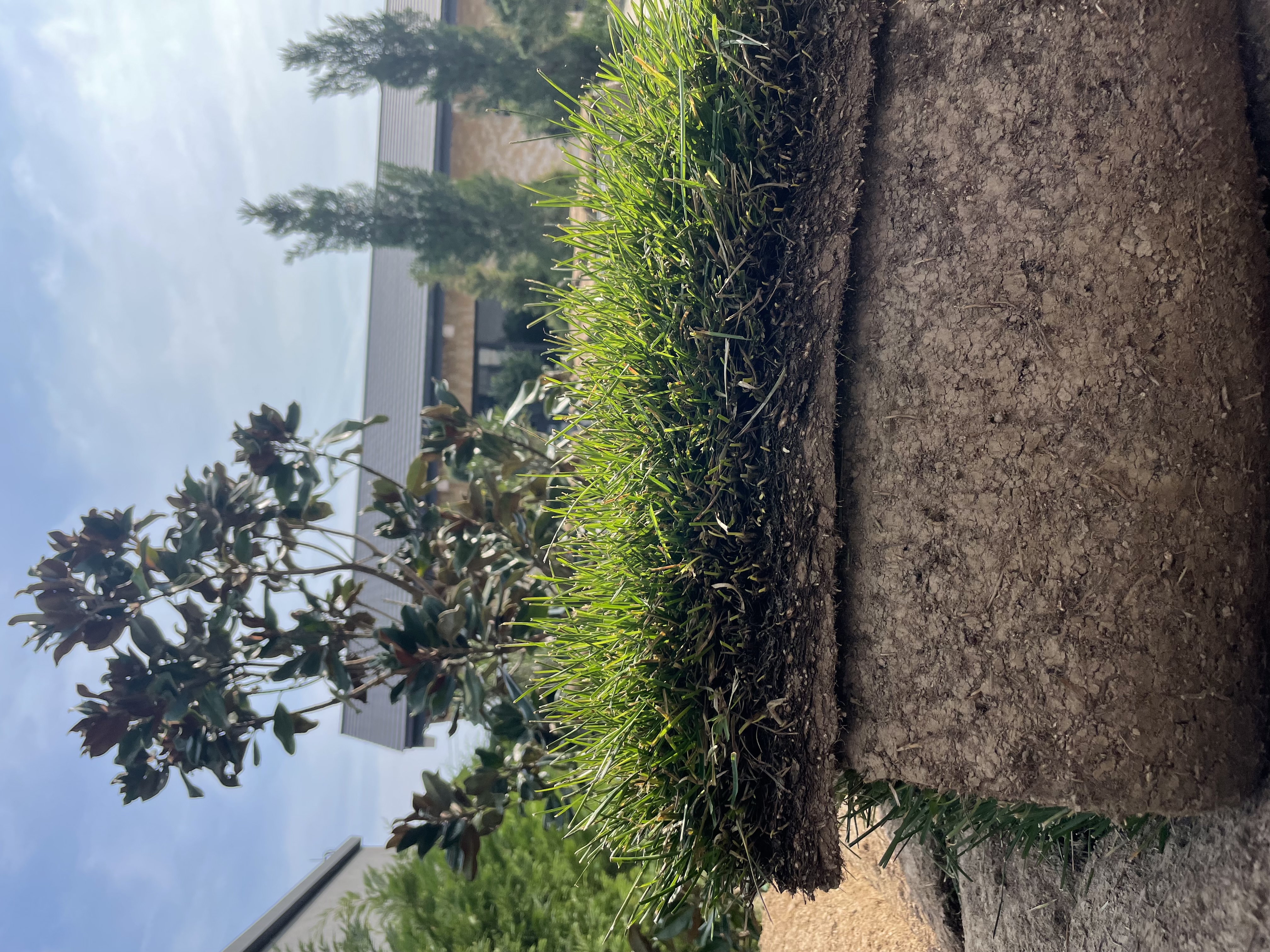 Полный спектр озеленения