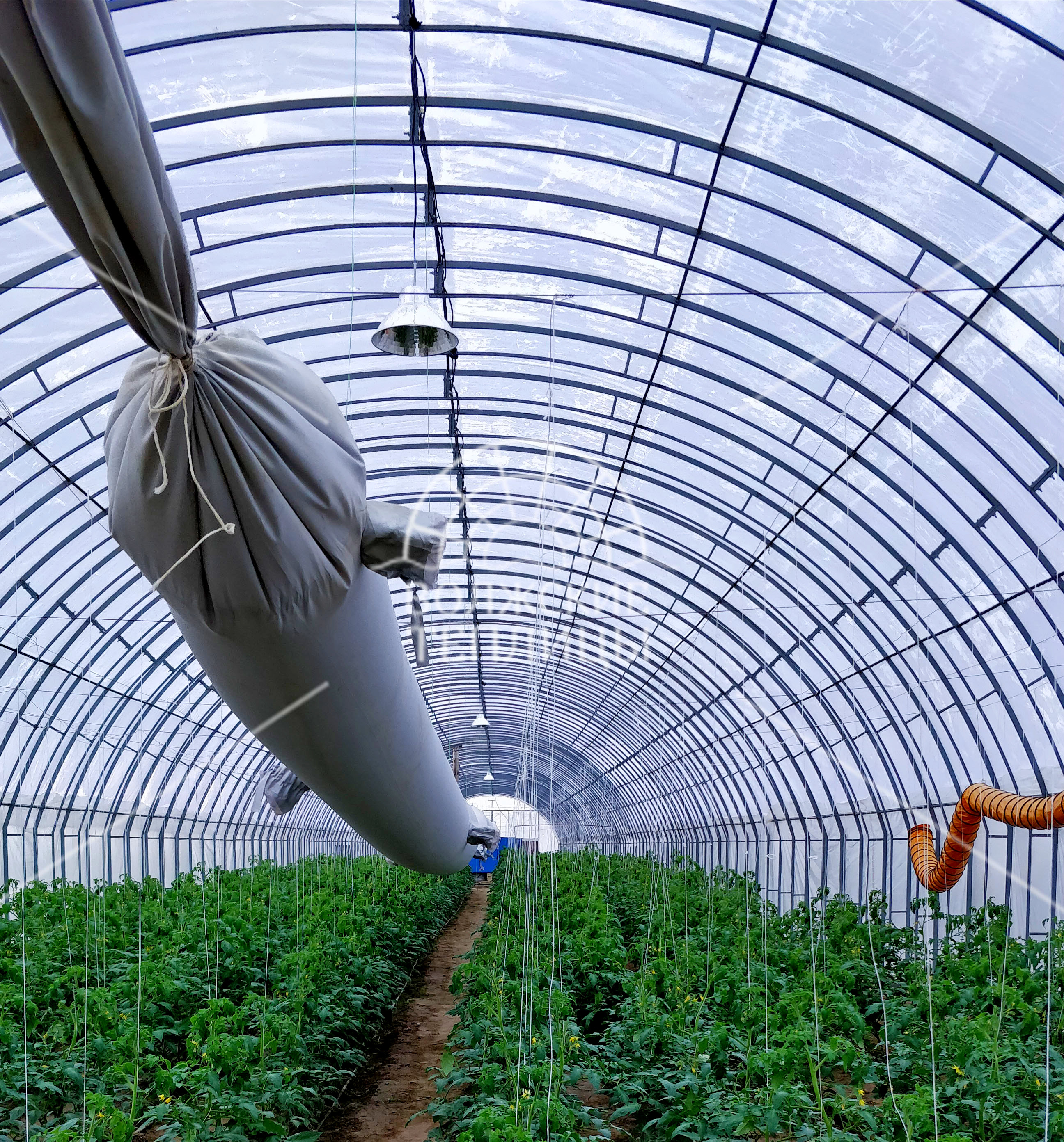 Оцинкованные фермерские теплицы шириной от 5 м