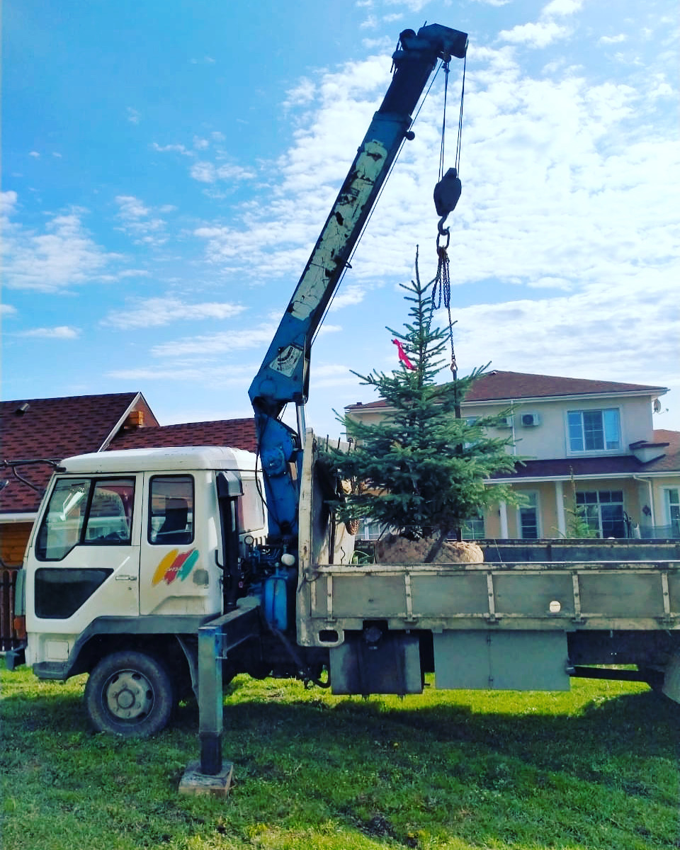 Манипулятор 5 тн