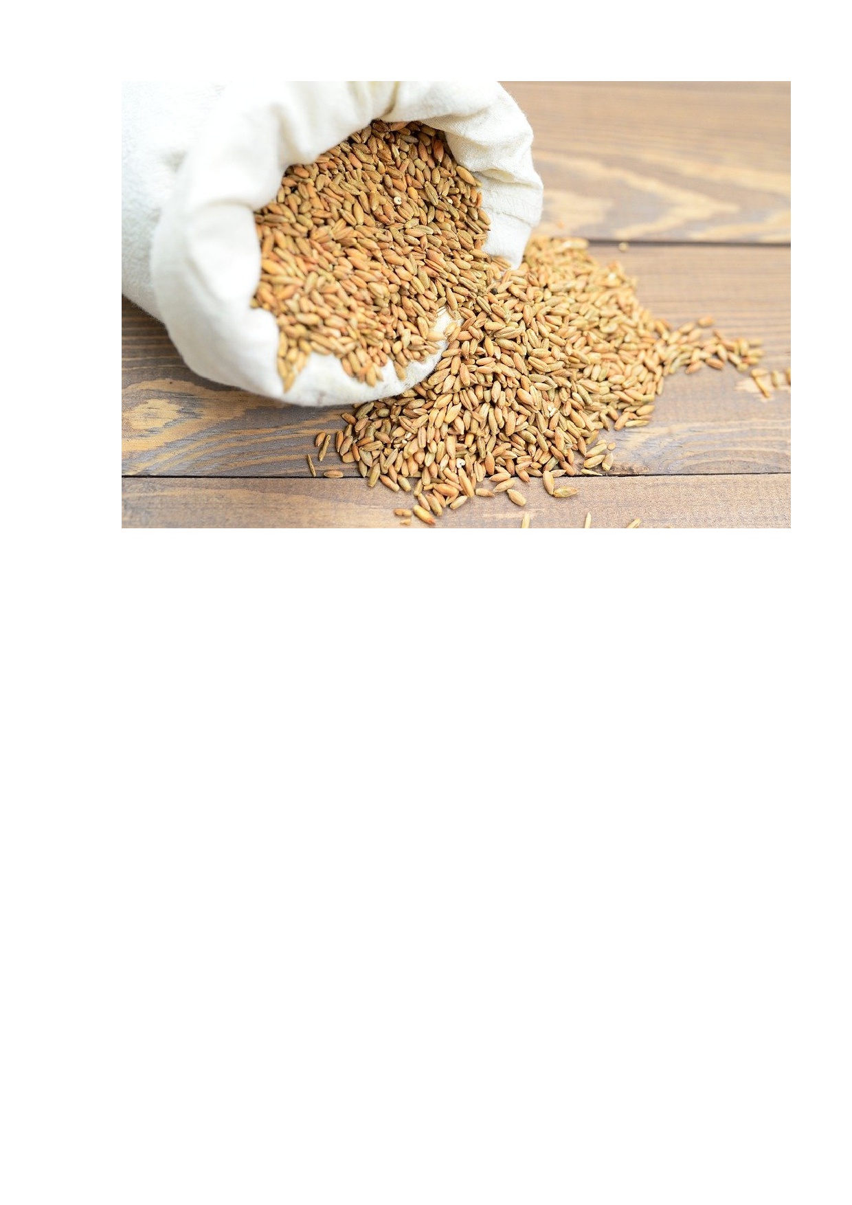 Корма для животных