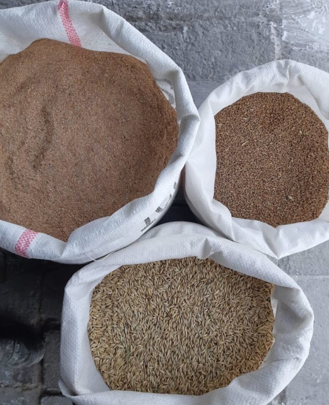 Корма для животных