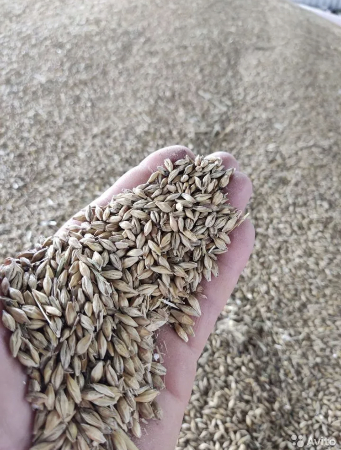 Корма для сельскохозяйственных животных