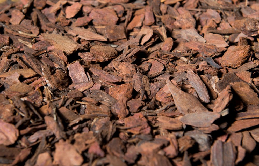 Кора лиственницы